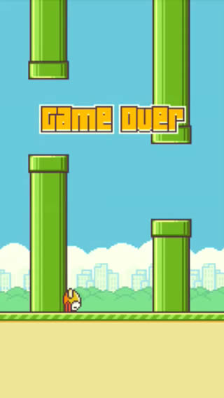 201401_flappybird_5.jpg