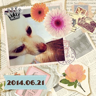 20140623_cameran_collage_024.jpg