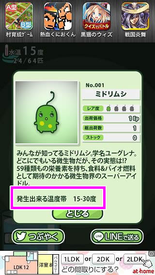 review_201401_midorimushi_8.jpg