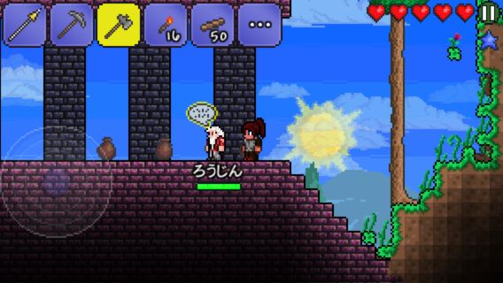 2014_terraria4_008.jpg